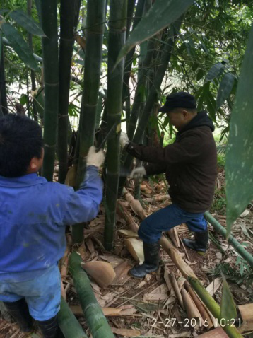 四水廠線路巡查  排除安全隱患