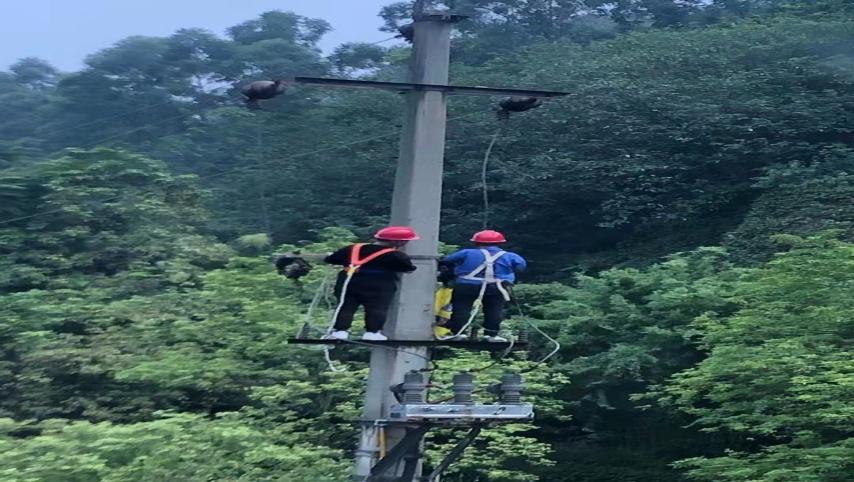 及時(shí)消除隱患  確保線路供電安全